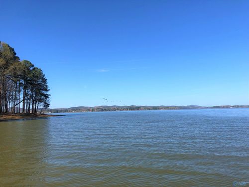 Lot 13 Little River Landing, Cedar Bluff, AL, 35959 | Card Image