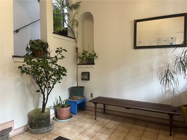 Image | Image 4