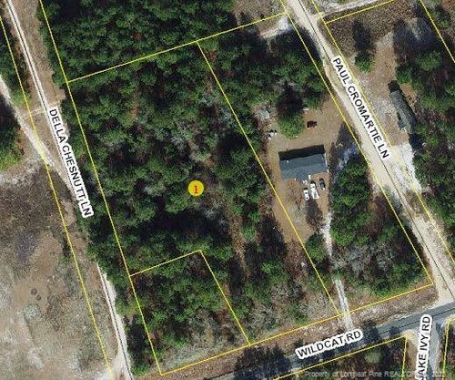 0 Wildcat Rd, Ivanhoe, NC, 28447 | Card Image