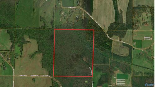 160 acres County Road 167, Moulton, AL, 35650 | Card Image