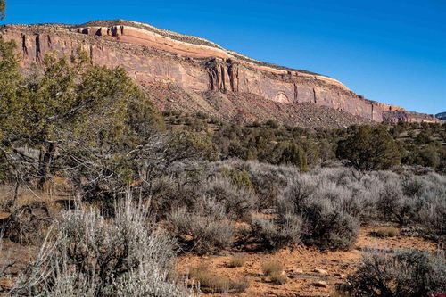 TBD Na Road, Paradox, CO, 81429 | Card Image