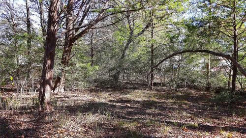 TBD Choctaw Trail Dr, Smithville, TX, 78957 | Card Image