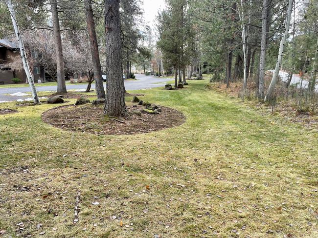 29-Common Green Space-R | Image 30