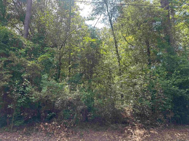 23483 Heritage Acres Ln, Home with 0 bedrooms, 0 bathrooms and null parking in Robert LA | Image 19