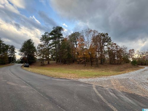 1-18917 Cattle Ranch Rd, Brookwood, AL, 35444 | Card Image