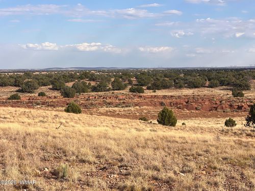 N9237 Miller Ln, Concho, AZ, 85924 | Card Image