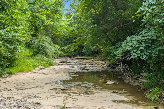 7903 Organ Creek Rd, Home with 0 bedrooms, 0 bathrooms and null parking in Pendleton KY | Image 12