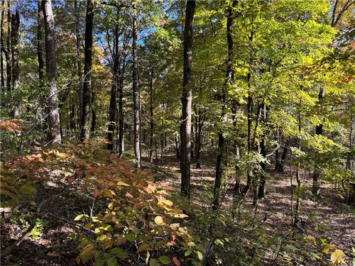 1 Madison 5221, Elkins, AR, 72727 | Card Image