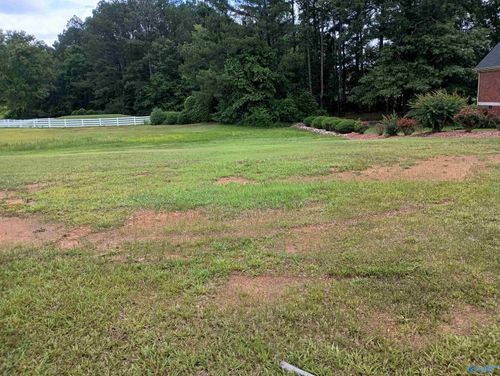 7 Winfield Ln, Glencoe, AL, 35905-8816 | Card Image