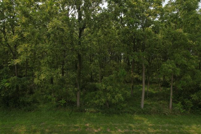 00 1950 North Ave, Home with 0 bedrooms, 0 bathrooms and null parking in Princeton IL | Image 9