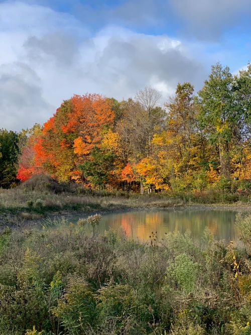 c-V/L Hidden Creek Trail, Hamilton, MI, 49419 | Card Image