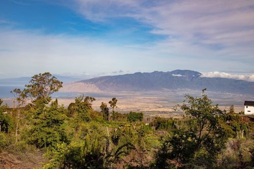 unit-a-0 Haleakala Hwy, Kula, HI, 96790 | Card Image