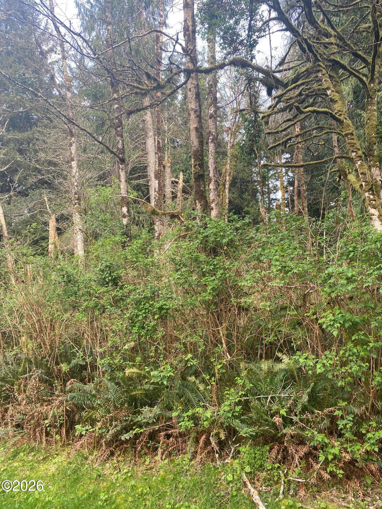 Land in Lincoln City