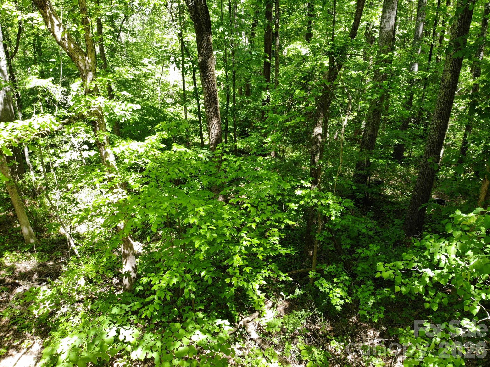 Land in Lincolnton 2