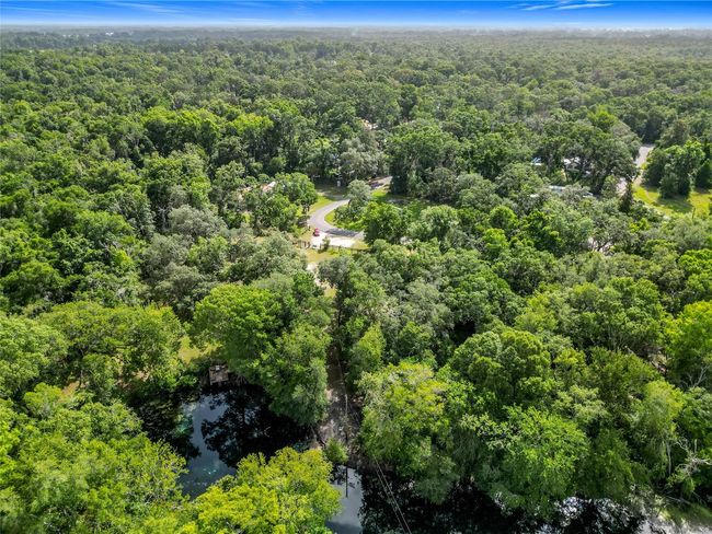 Birdseye view of the neighborhood, featuring the Springs in the forefront. | Image 58