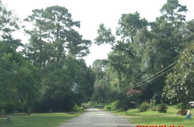 83 White Oak Dr N, House other with 5 bedrooms, 5 bathrooms and 2 parking in New Caney TX | Image 6