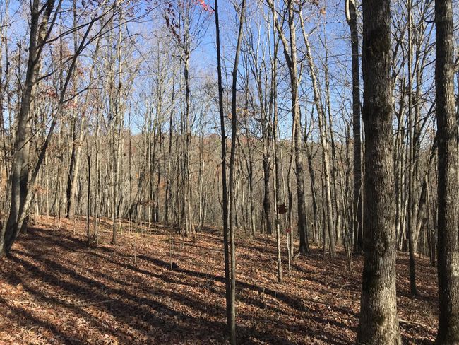 6 Hobbstown Rd, Home with 0 bedrooms, 0 bathrooms and null parking in Dunlap TN | Image 8