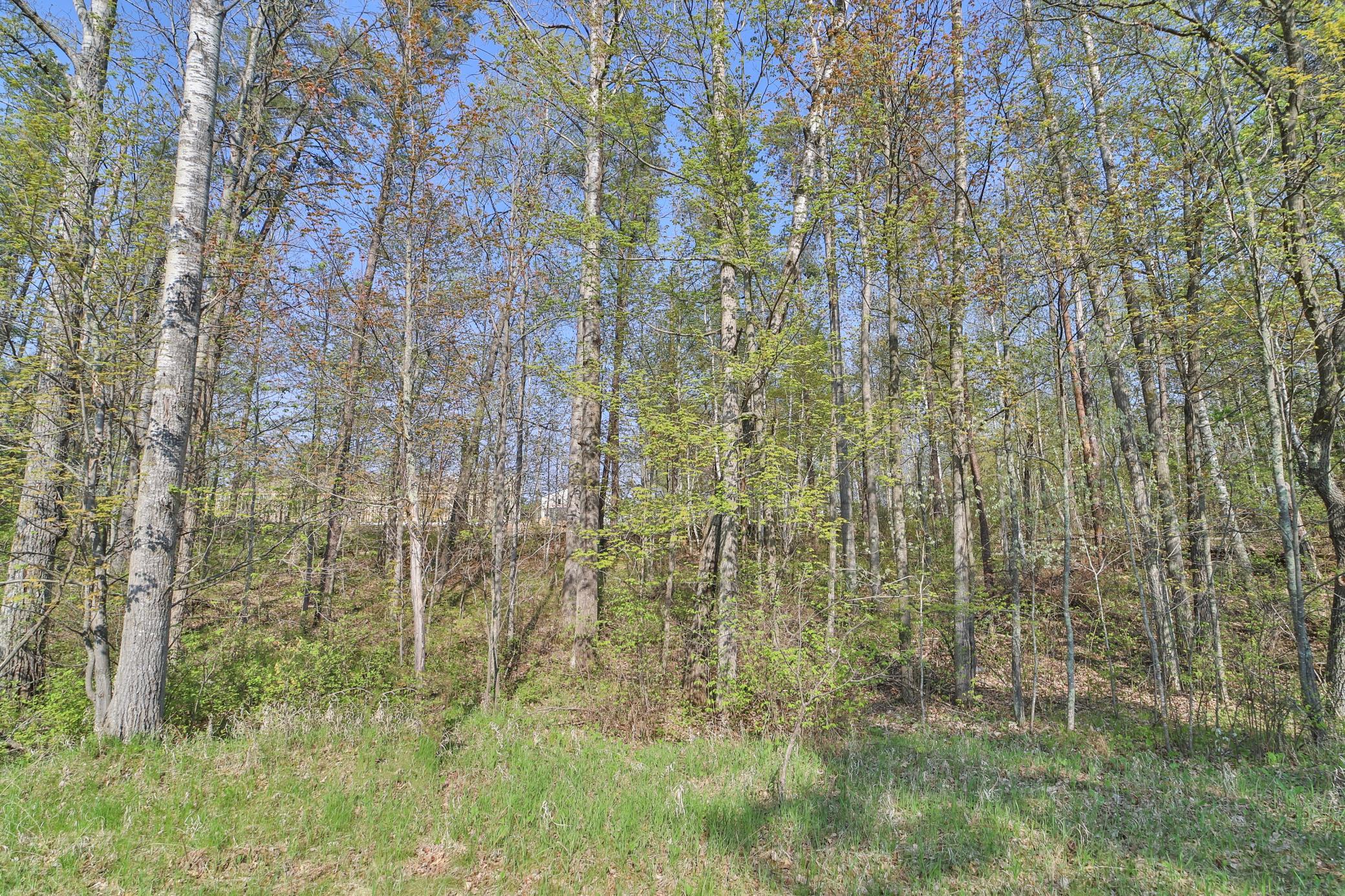 Land in Breezy Point 4