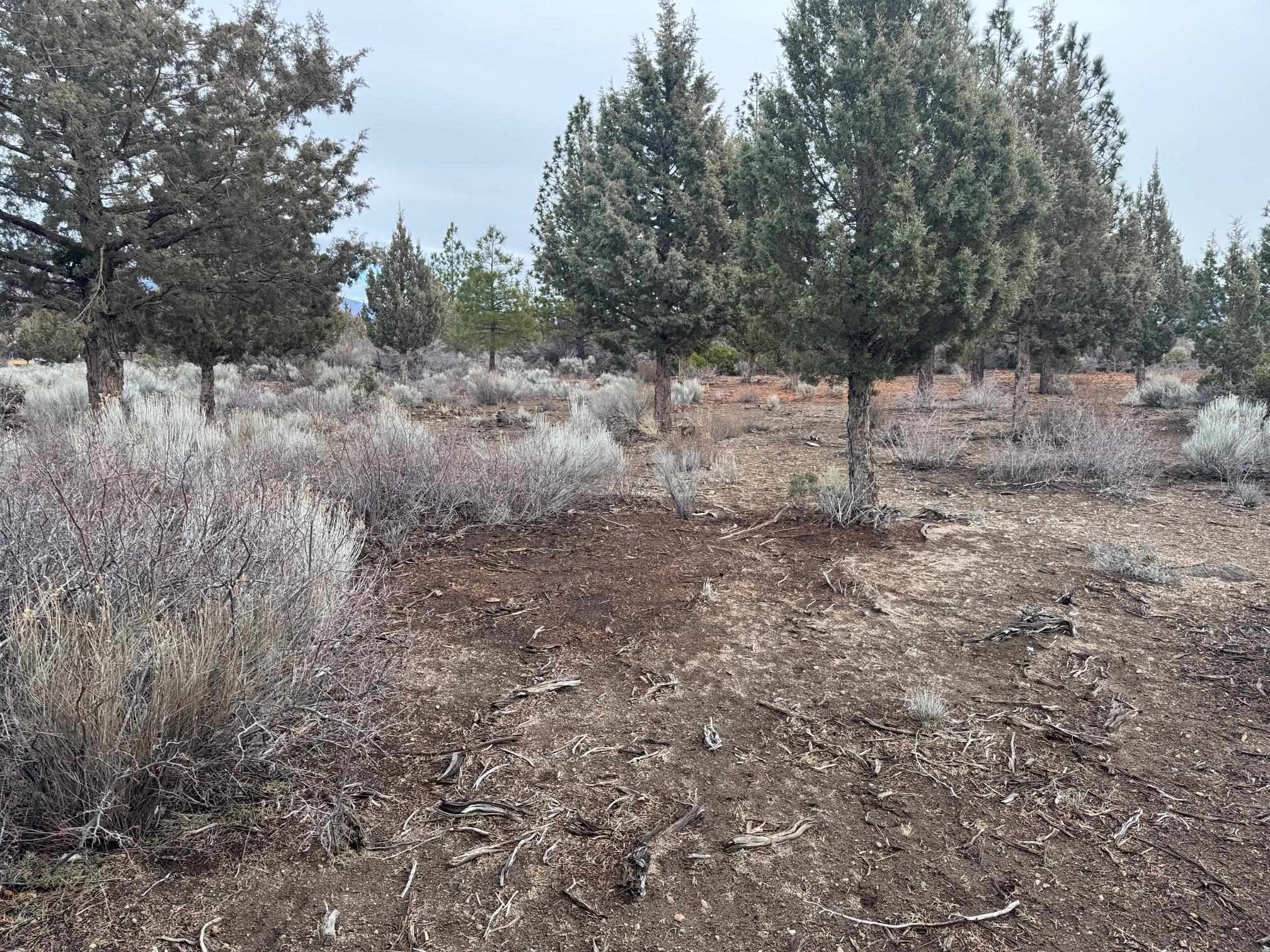 Land in Weed