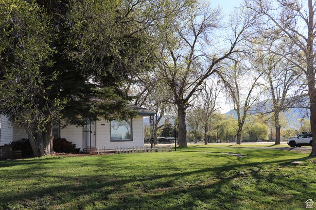View of green lawn | Image 40