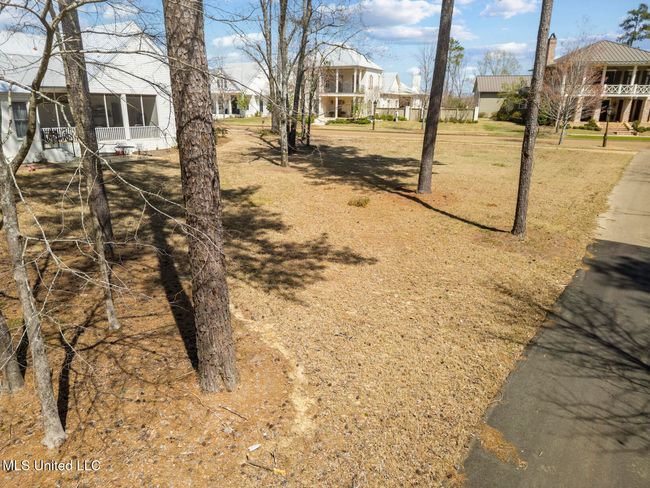 Lost Rabbit Lot-9 | Image 5