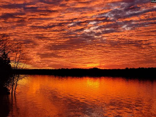 2207C Horton Cove Road, Camden, SC, 29020 | Card Image