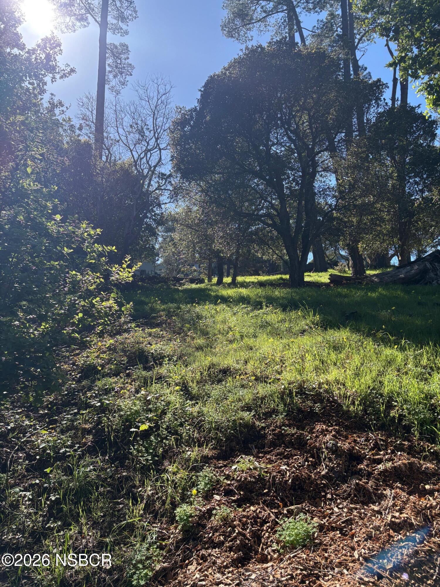 Land in Cambria 4