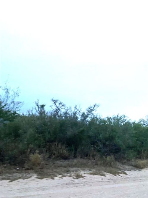 7039 Cr 205--22.22 Acres(+/-), San Diego, TX, 78384 | Card Image