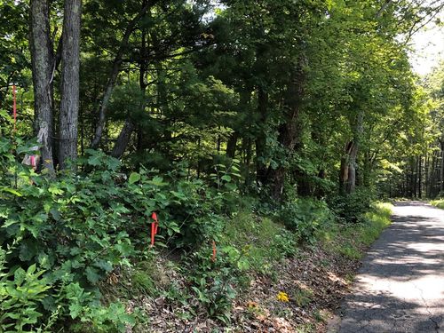 2 N Gulf Rd, Belchertown, MA, 01007 | Card Image