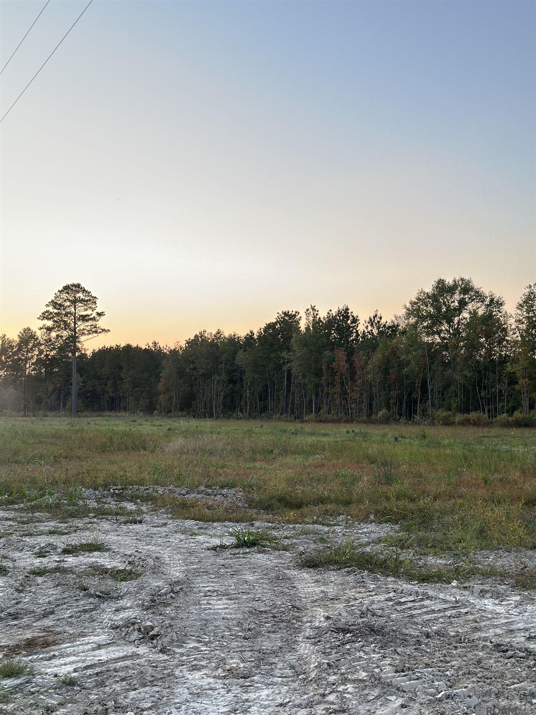 Land in Walker