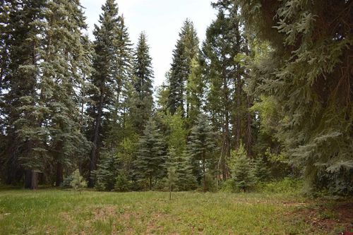 174 Trust Dr, Bayfield, CO, 81122 | Card Image