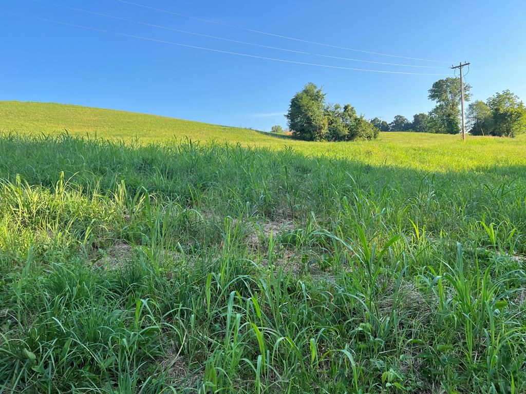Land in Byrdstown