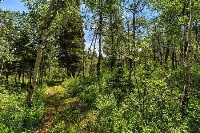 207 Martinez Spring Rd, House other with 4 bedrooms, 5 bathrooms and null parking in Bozeman MT | Image 87