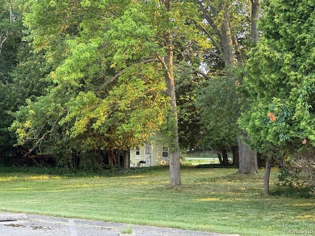 treed lot with a building to finish as you would like.jpg | Image 6