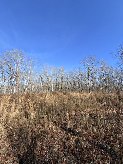 0 Deerwood Dr, Sewanee, TN, 37375 | Card Image