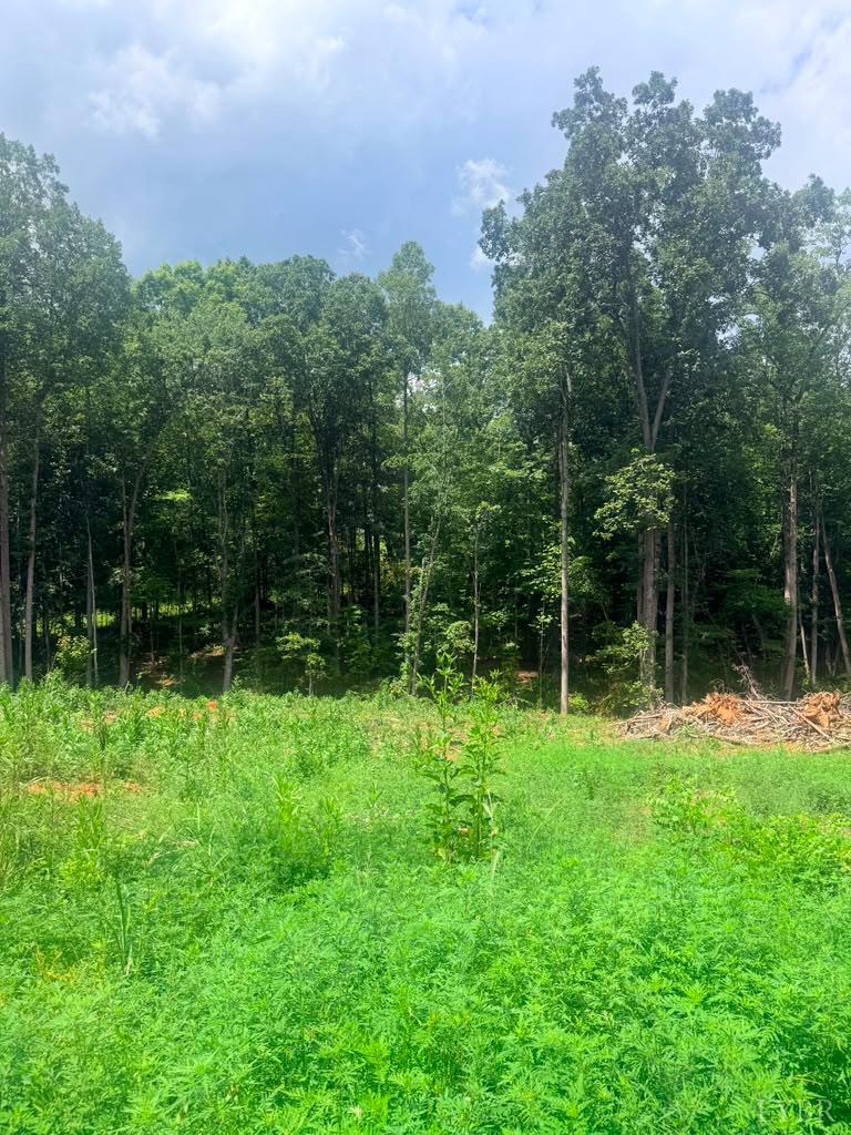 Land in Bedford 2