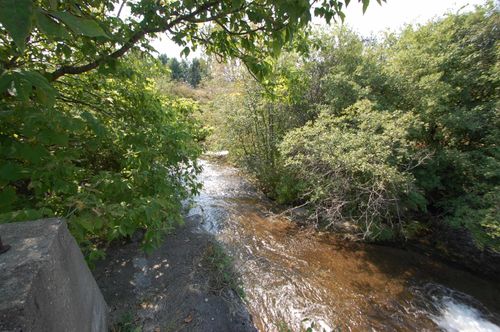 Parcel 2B M-55, West Branch Township, MI, 48661 | Card Image