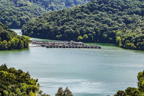 4 Seaton Dr, Smithville, TN, 37166 | Card Image