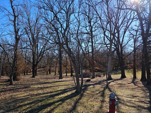 000 Redbud Place, Monett, MO, 65708 | Card Image