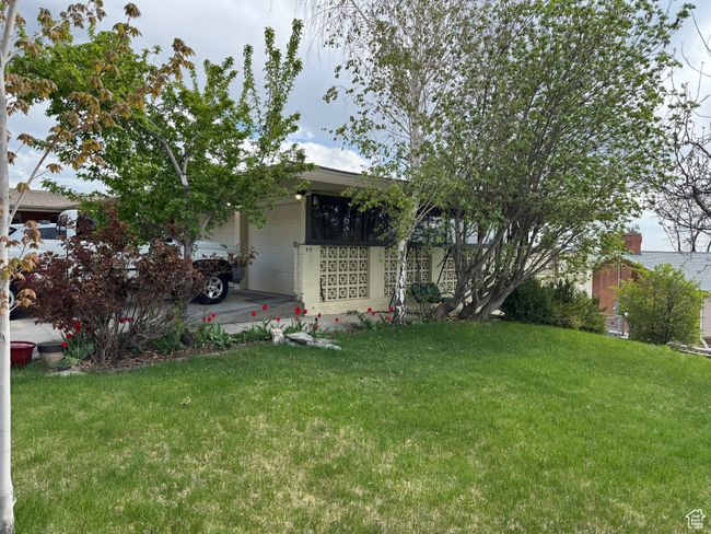 View of yard with a garage | Image 10