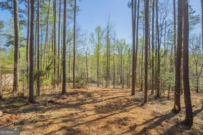 234 Riverbend Rd, Home with 0 bedrooms, 0 bathrooms and null parking in Lavonia GA | Image 2