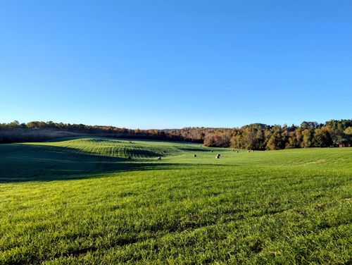 TBD Daniels Run Rd Ne, Check, VA, 24072 | Card Image