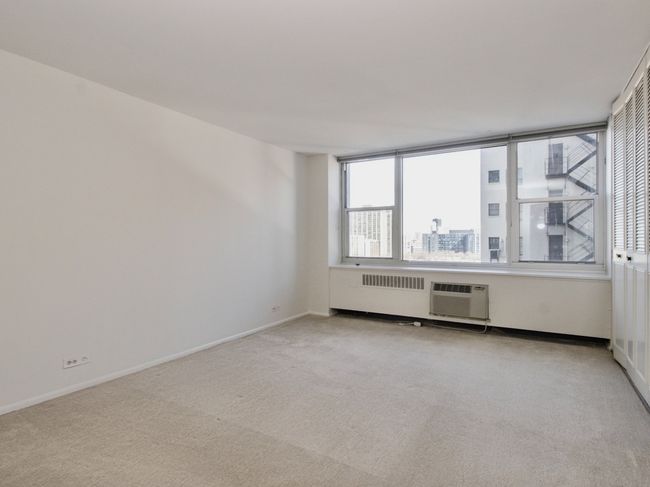 APT-1230 - 4250 N Marine Dr, Condo with 1 bedrooms, 1 bathrooms and 1 parking in CHICAGO IL | Image 13