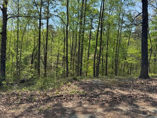 56 Cottonwood Ct, Toccoa, GA, 30577-7390 | Card Image