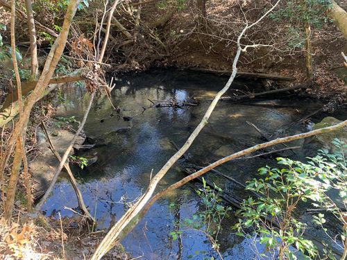 Tract 2 Lone Wolf Trl, Spencer, TN, 38585 | Card Image