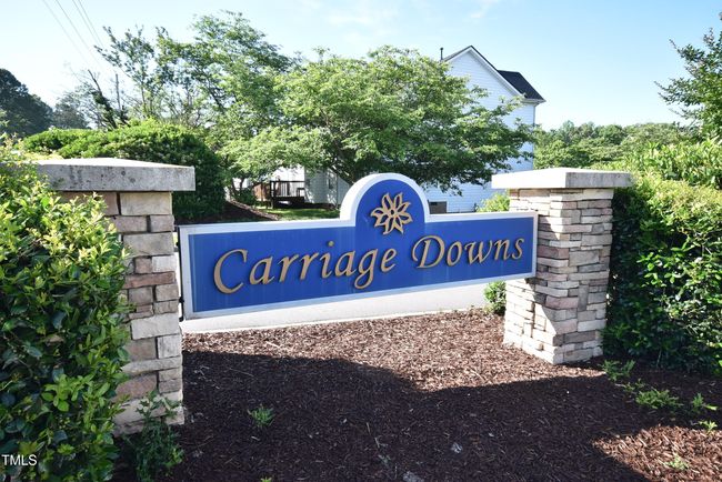 Carriage Downs | Image 34