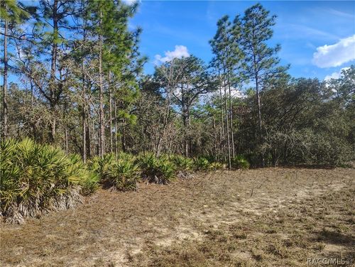 4196 W Horseshoe Drive, Beverly Hills, FL, 34465 | Card Image