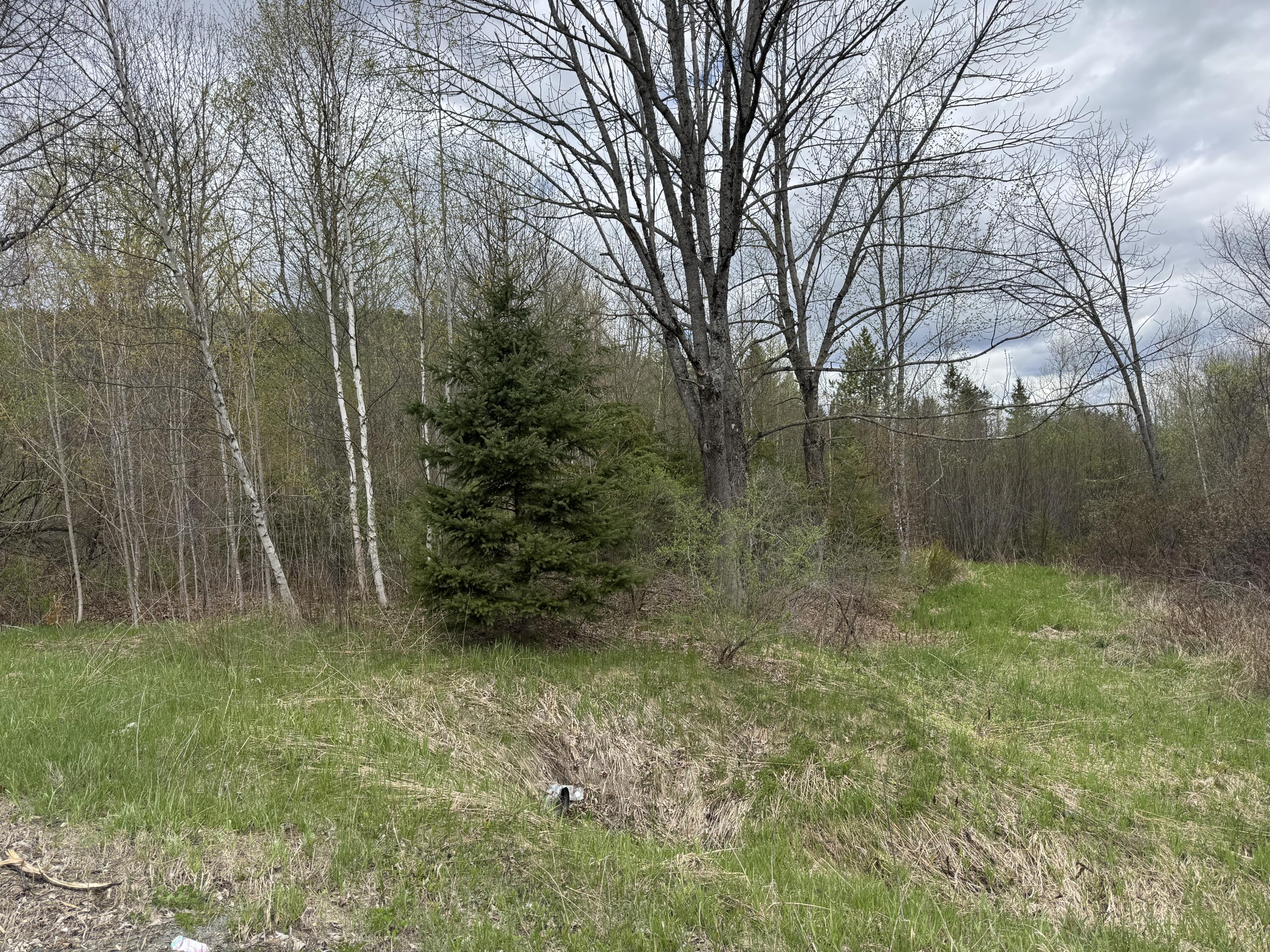 Land in Parkman 5