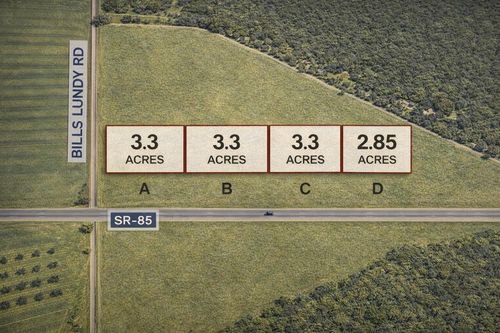 Parcel D N Highway 85, Laurel Hill, FL, 32567 | Card Image