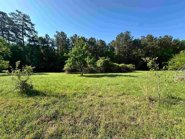 725 Cr 4364, House other with 3 bedrooms, 2 bathrooms and null parking in Spurger TX | Image 27